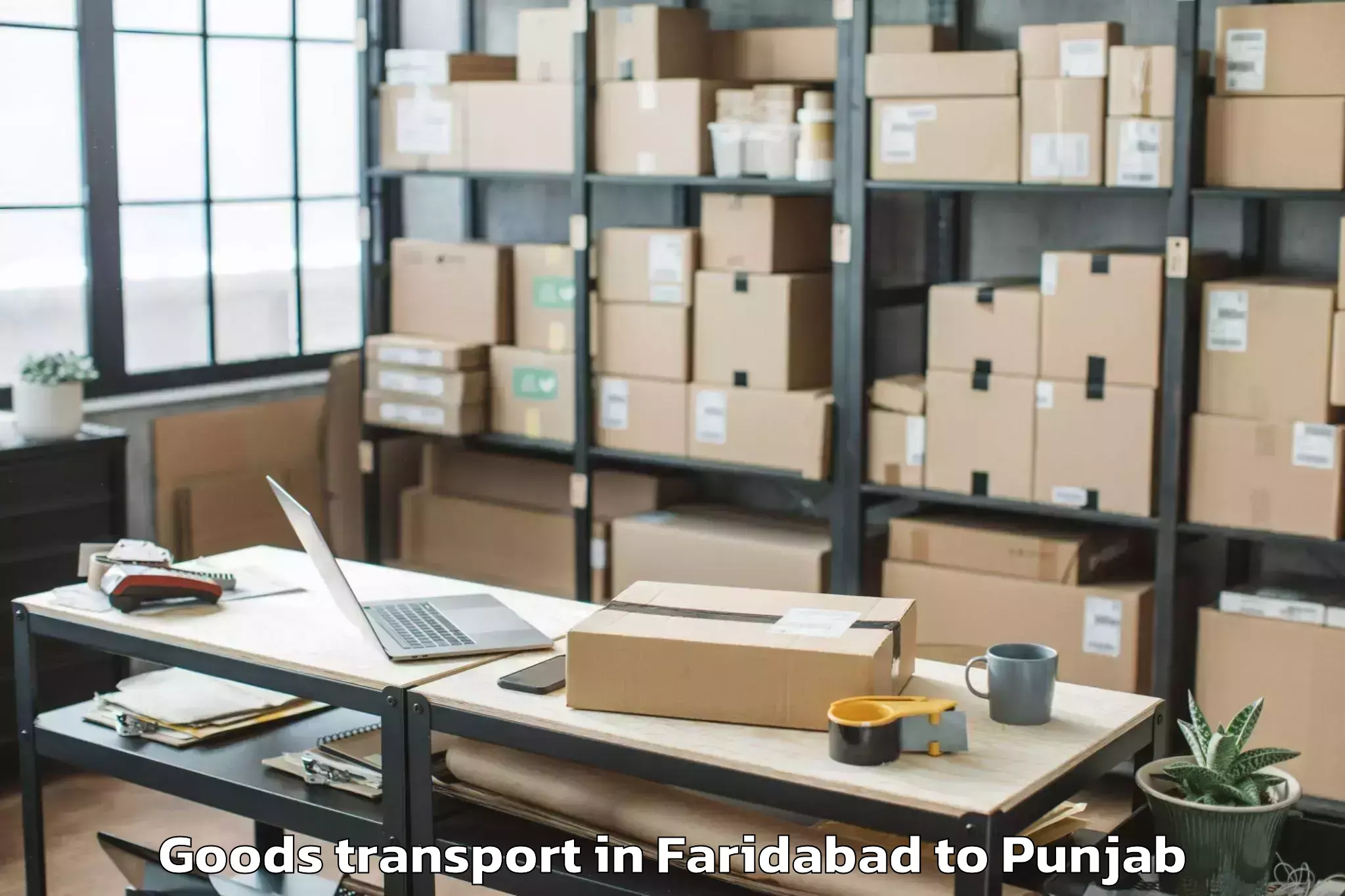 Affordable Faridabad to Khanna Goods Transport